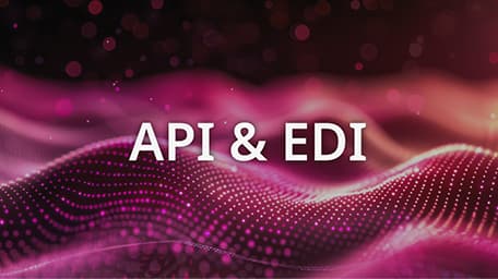 ONE shipping API EDI integration