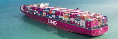 ONE eCommerce platform for container shipping