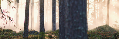 Green investment