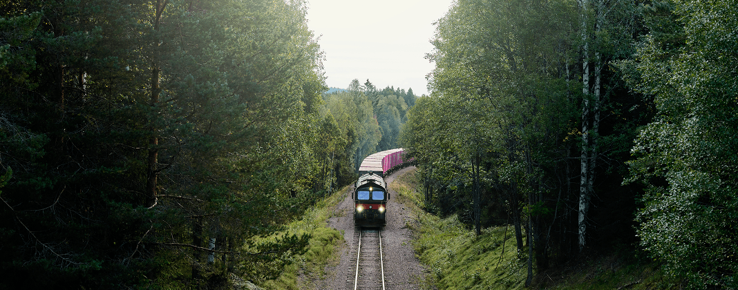 Sustainable transport solution loaded with cargo containers through a forest