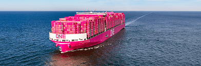 Container shipping transportation solutions