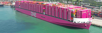 ONE Infinity vessel docked at port with laden shipping containers