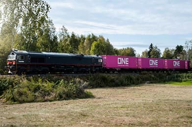 Intermodal train carrying shipping containers inland