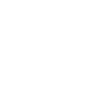 TEU fleet size icon