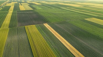 Agriculture