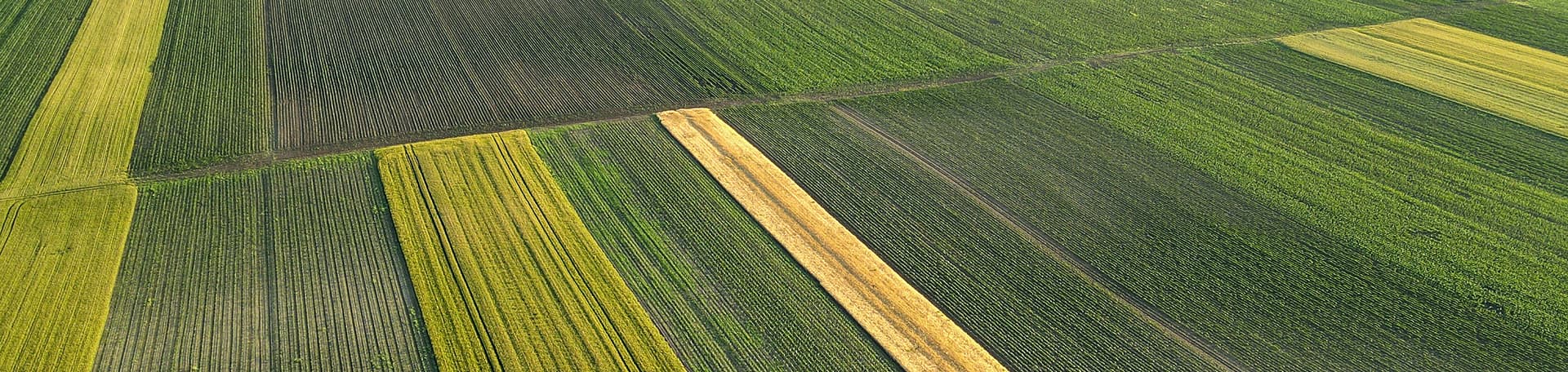 Agriculture