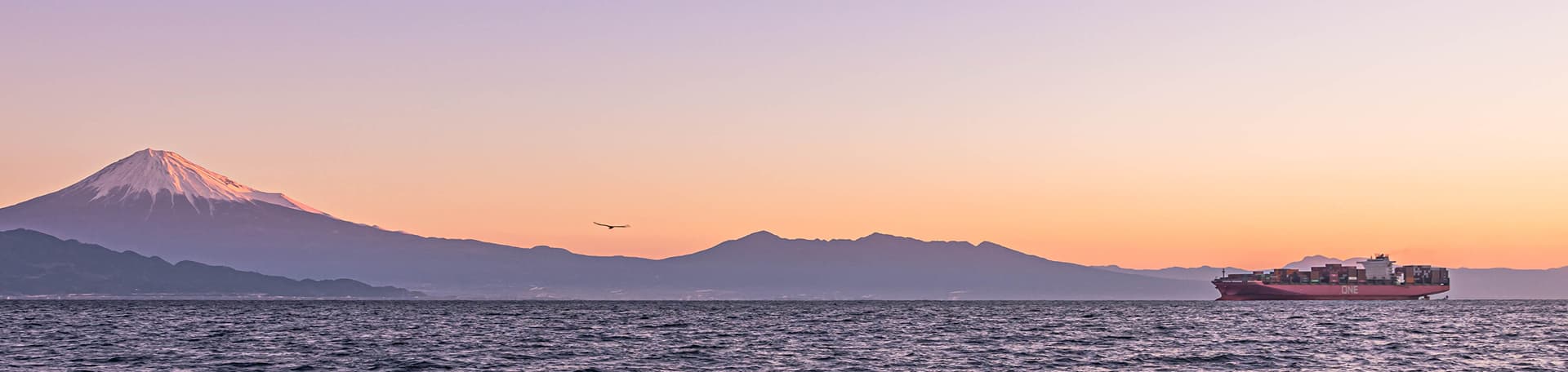 ONE sustainable maritime vision commitment