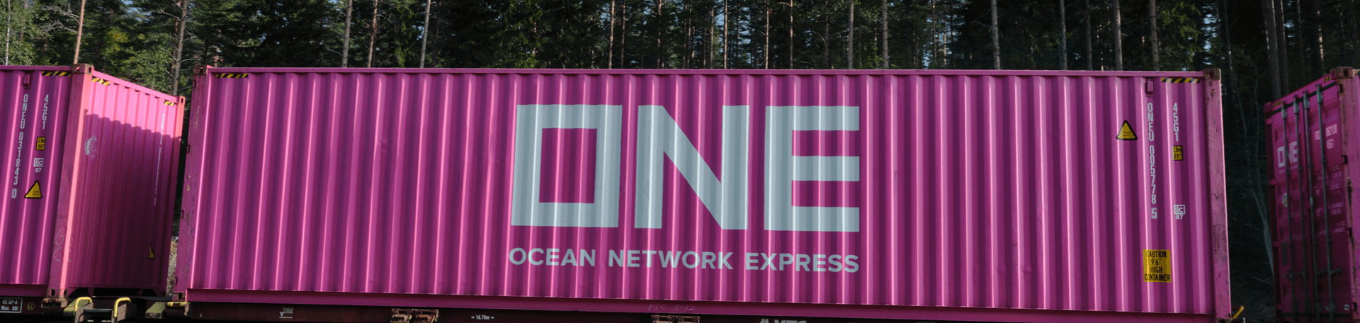 ONE containers in forest